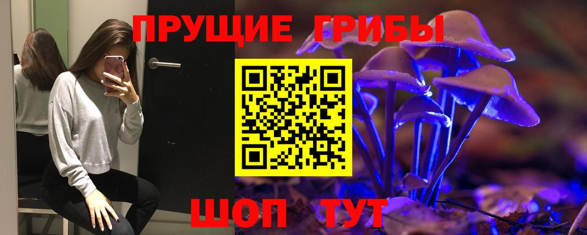 Мытищи  Псилоцибиновые грибы мицелий  Вход с VPN 