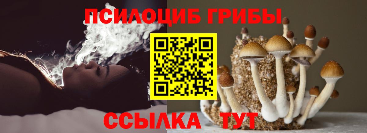 Галлюциногенные грибы мицелий Мытищи